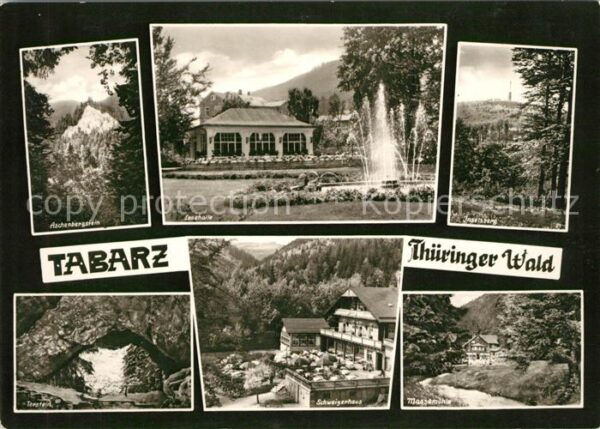Tabarz Landschaftspanorama Aschenbergstein Les
