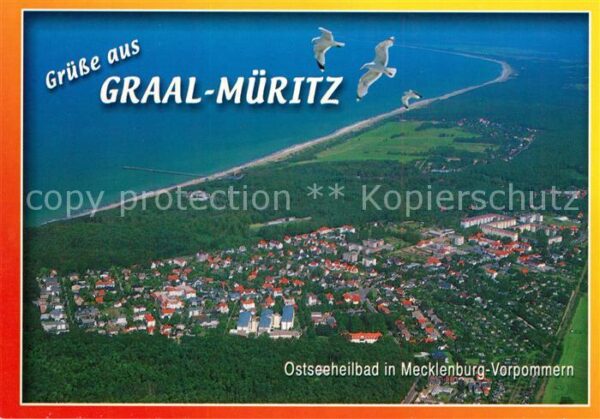 Graal-Mueritz Ostseebad Möwen Fliegeraufnahme