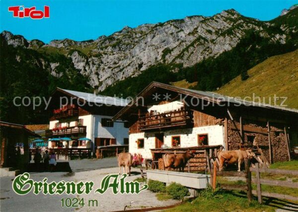 Kirchdorf Tirol Griesneralm Unterkunftshaus Naturschutz