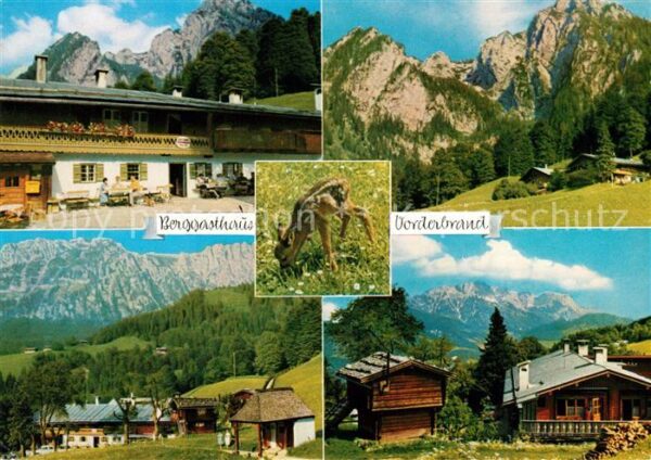 Berchtesgaden Berggasthaus Vorderbrand Rehkitz Dorfmo
