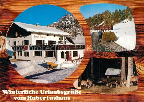 Vorarlberg Pension Hubertus Pferdeschlitten Wildfü