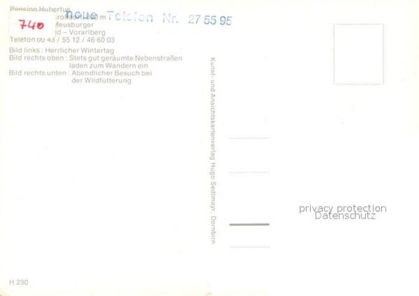 Vorarlberg Pension Hubertus Pferdeschlitten Wildfü – Bild 2
