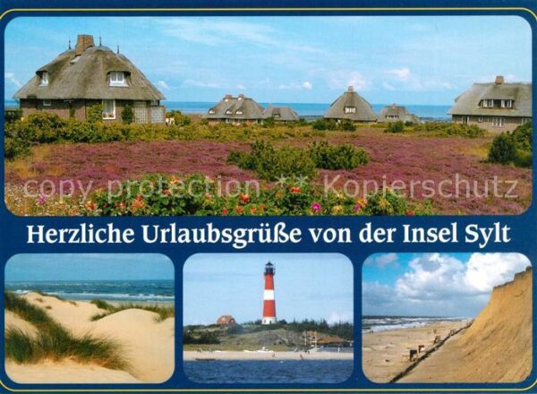 Insel Sylt Ferienhäuser Wohnhäuser Dünen Leuchttur