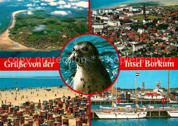 Borkum Strand Hafen Segelschiff Seehund Fliege
