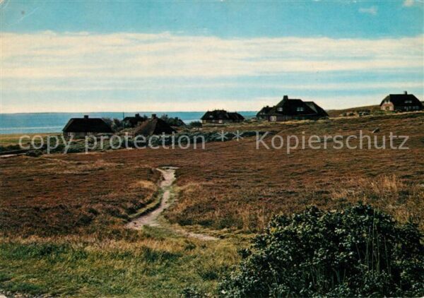 Kampen Sylt Friesenhäuser in der Kampener Heide