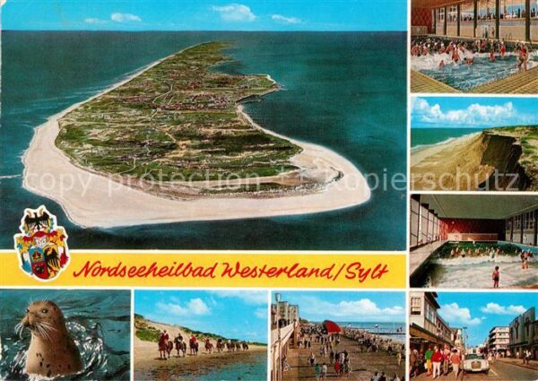 Westerland Sylt Fliegeraufnahme Wellenbad Kliff Seehund
