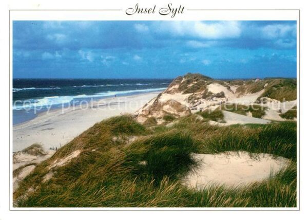 Insel Sylt Landschaftspanorama Dünen Strand Natur