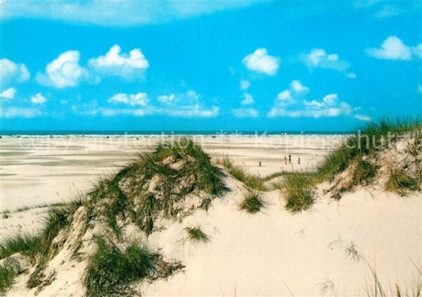 Amrum Dünen am Kniepsand