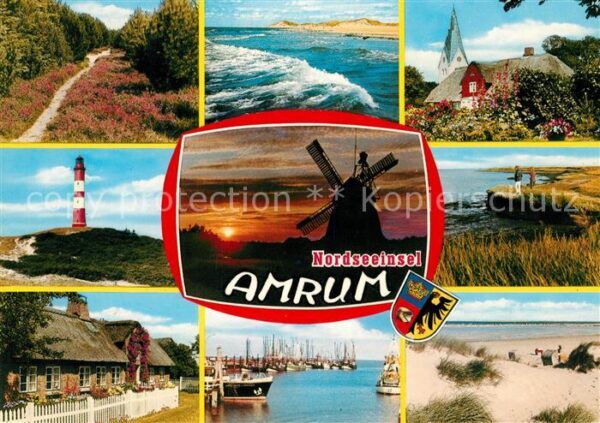 Amrum Heidelandschaft Friesenhaus Leuchtturm