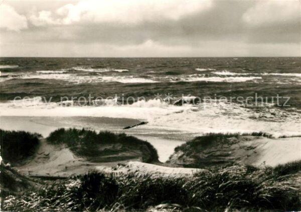 Insel Sylt In den Dünen