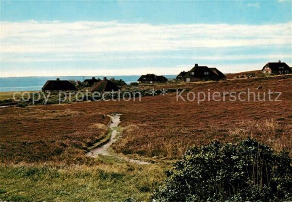 Kampen Sylt Friesenhäuser in der Kampener Heide