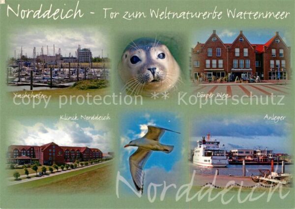 Norddeich Ostfriesland Tor zum Weltnaturerbe Wattenmeer Yachth
