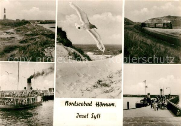 Hoernum Sylt Landschaftspanorama Dünen Möwe Leuchttu