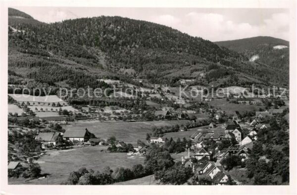 Hornisgrinde Seebach Panorama