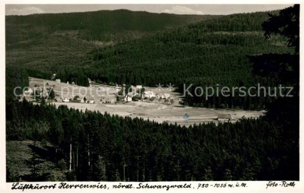 Herrenwies Fliegeraufnahme Panorama