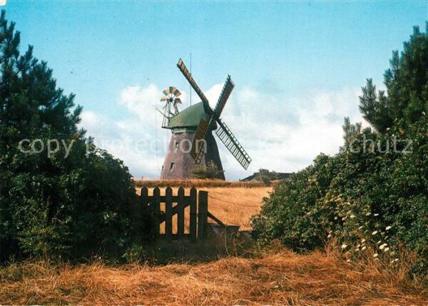 Nebel Amrum Mühle