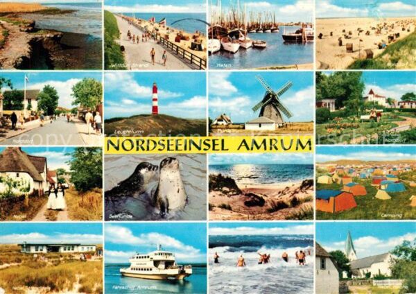 Amrum Camping Kirche Fähre Seehunde Norddorf