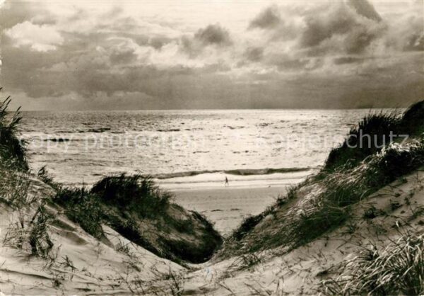 Insel Sylt Dünendurchblick