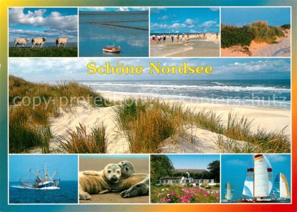 Nordsee Region Strand Dünen Seehunde Segelboote Fischk