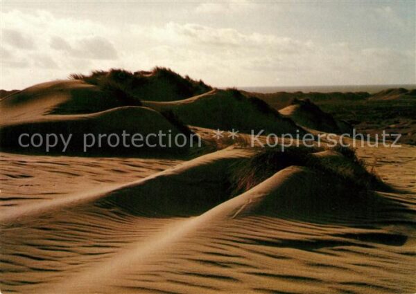 Insel Sylt Sanddünen