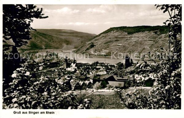 Bingen Rhein Rheinpartie