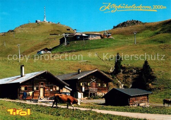 Kitzbuehel Tirol Kitzbühelerhorn Holzhäuser Kühe