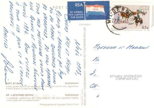 Oudtshoorn Strauss – Bild 2
