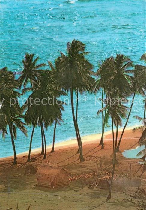 Martinique Plage