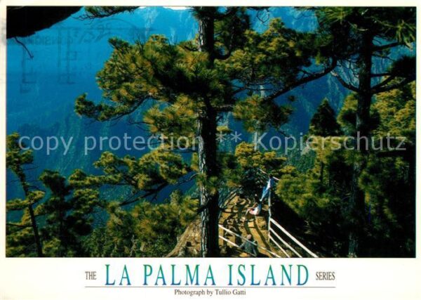 La Palma Canarias Caldera de Taburiente