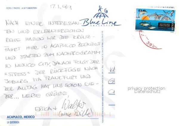 Acapulco Klippenspringer – Bild 2