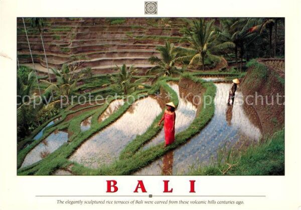 Bali Indonesien rice terraces volcanic hills