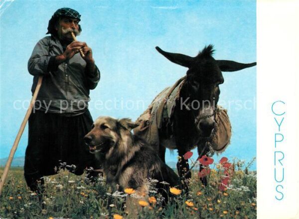Cyprus Zypern Bauer mit Hund und Esel