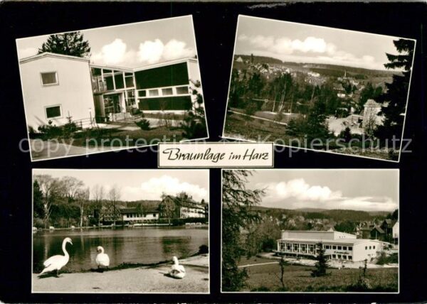 Braunlage Kurmittelhaus Kurparkteich Schwäne Kurh