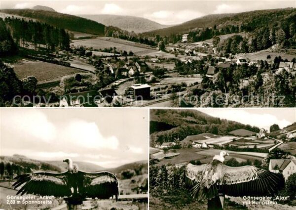 Berlebeck Panorama Luftkurort von der Adlerwarte