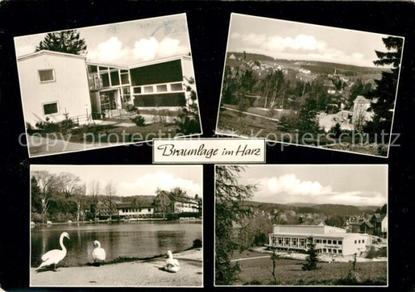 Braunlage Kurmittelhaus Kurparkteich Schwäne Kurh