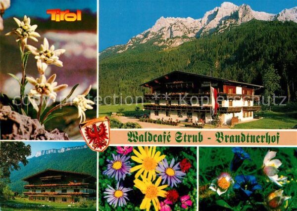 Waidring Tirol Waldcafe Strub Brandtnerhof Bergwelt Ed