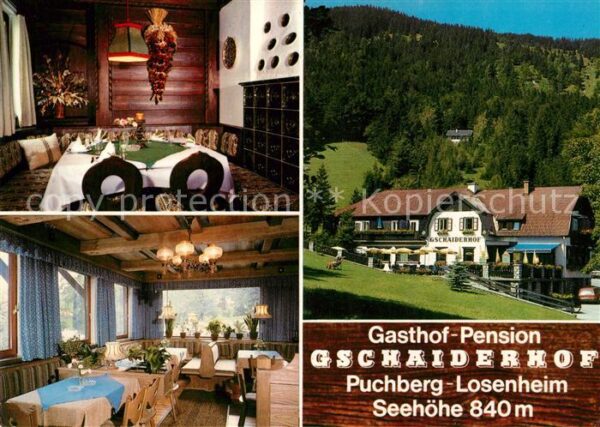 Puchberg Schneeberg Gasthof Pension Gschaiderhof