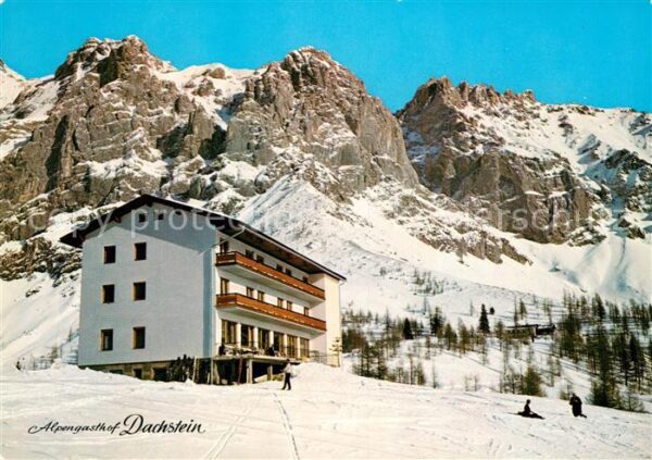 Dachstein Steiermark Alpengasthof Dachstein Winterpanorama