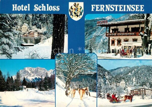 Fernsteinsee Hotel Winterpanorama