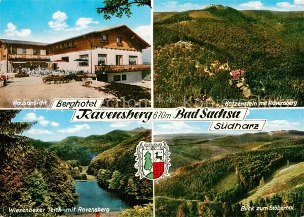 Bad Sachsa Harz Berghotel Ravensberg Hausansicht Katzen