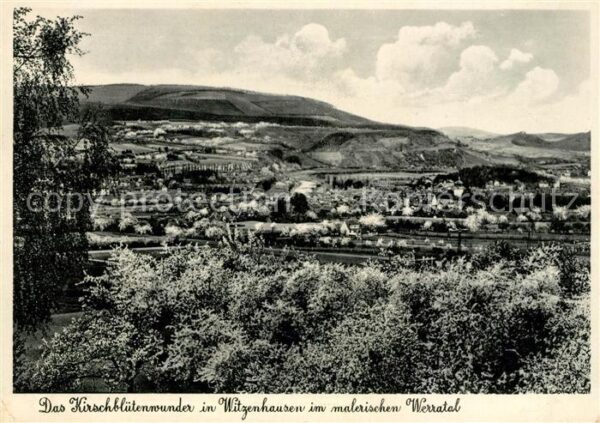 Witzenhausen Kirschblüte im Werratal