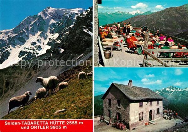 Sulden Solda Tabaretta Hütte Schafe Sonnenterrasse F