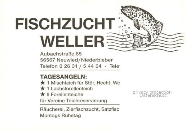 Neuwied Rhein Fischzucht Weller Fliegeraufnahme – Bild 2