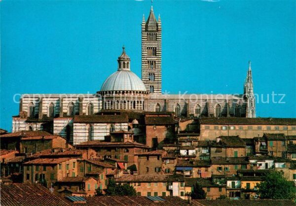 Siena San Domenico Cattedrale