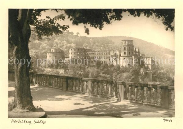 Foto Popp Nr. Heidelberg Schloss