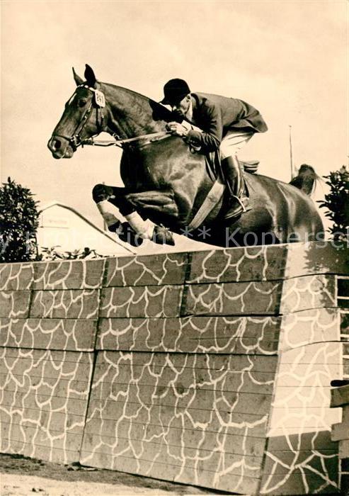 Reitsport Pferdesport Pferderennen