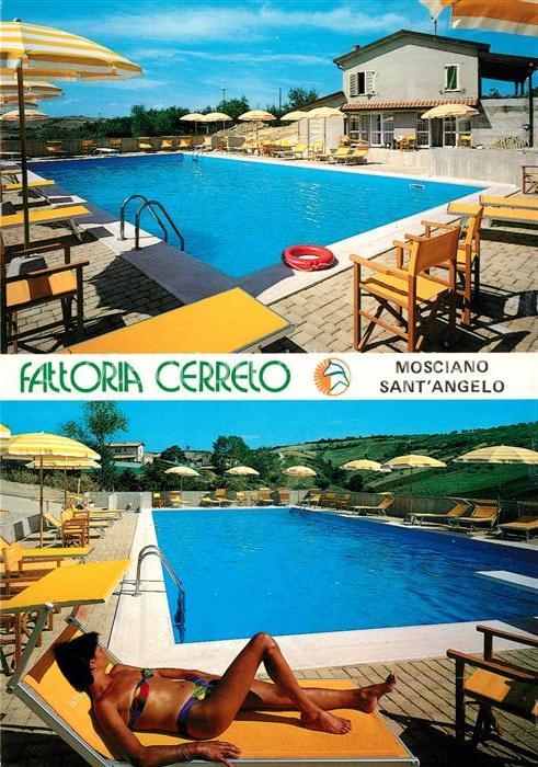 Mosciano Sant Angelo Fattoria Cerreto Centro Ippico Reitzent