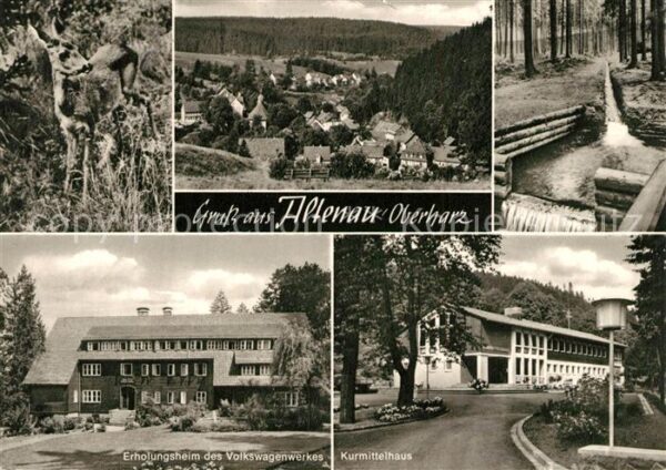 Altenau Harz Landschaftspanorama Waldpartie Rehkitz