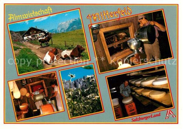 Muehlbach Hochkoenig Almwirtschaft Mitterfeld Käserei