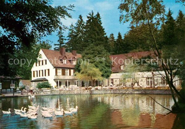 Leopoldstal Lippe Waldhotel Pension Silbermühle Enten